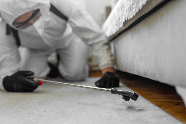 Professional Bed Bug Control technician working in Davis Junction, IL